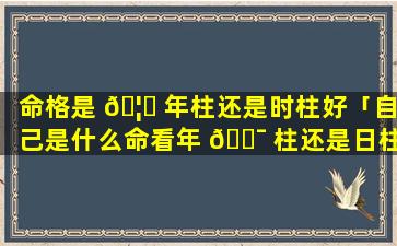 命格是 🦈 年柱还是时柱好「自己是什么命看年 🐯 柱还是日柱」